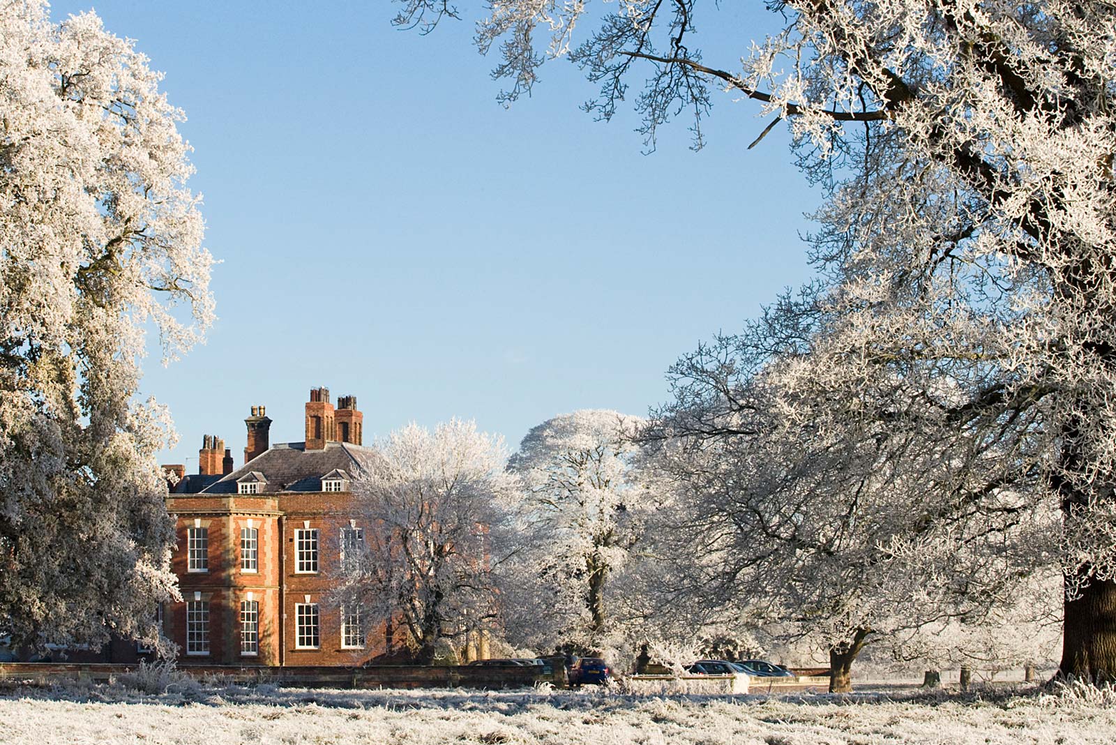 winter wedding